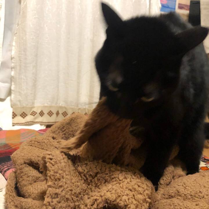 3e6dfc39 0bbe 461f b4fa d3dfff675290 1580208406628