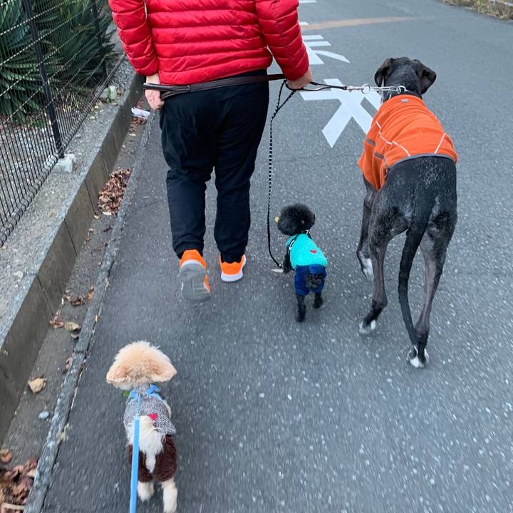 3e6e29c6 a21f 4073 ba39 e2a386e59592 1608946942823