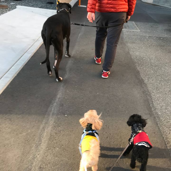 3e6e49ba f378 4272 83e1 df1efa09f80d 1512897065123