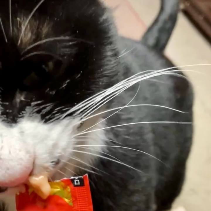 3e6e4be5 6821 4bd4 ba2b b1c225865b5c 1736423153718