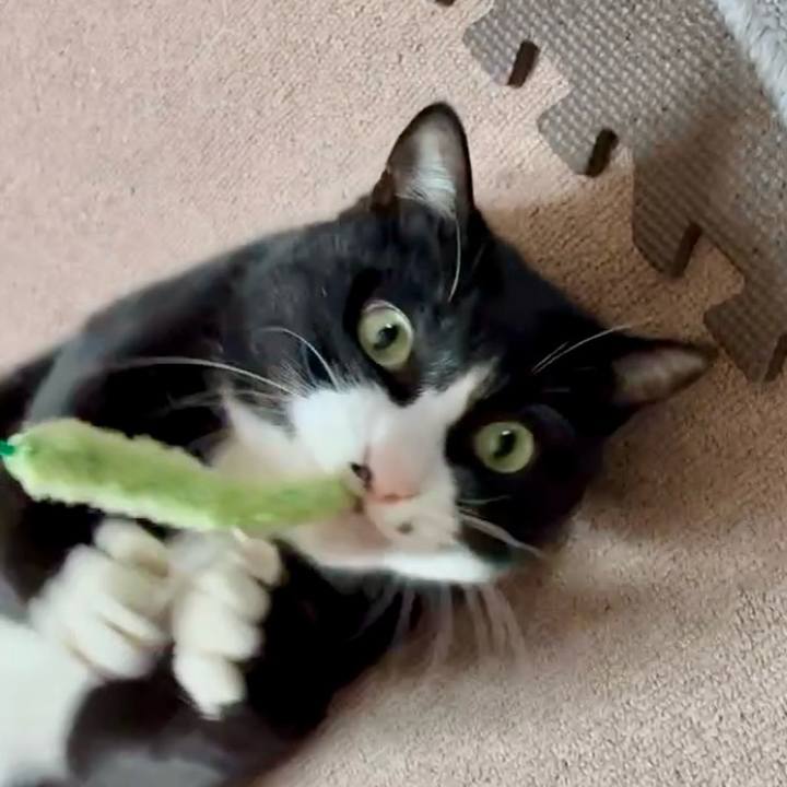 3e6e7bf5 c463 4b9f 9391 ebb05eb16d5f 1769049627699