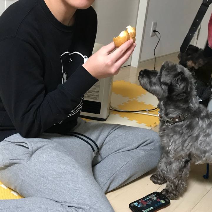 3e6e8f7e 75c7 4038 89f2 b837e6b82169 1514804656586