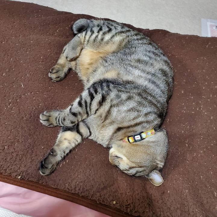 3e6eb85d 319f 4df7 9660 5887ab627020 1698589539804