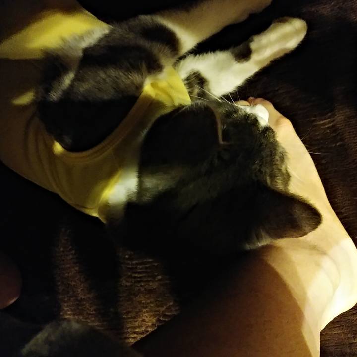 3e6ecd19 2296 49f3 a9e3 86d0819150b1 1584195965844