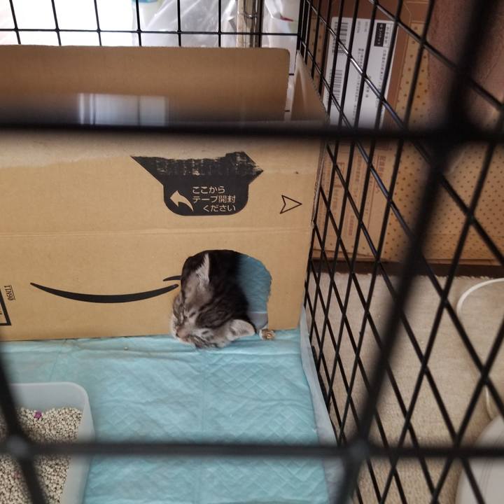 3e6f1495 5aed 46b7 9305 97c7680cbc22 1660170634178