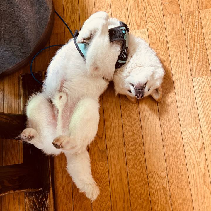 3e6f279f c5a1 4a48 a4c6 d395a6e6b339 1687480605924