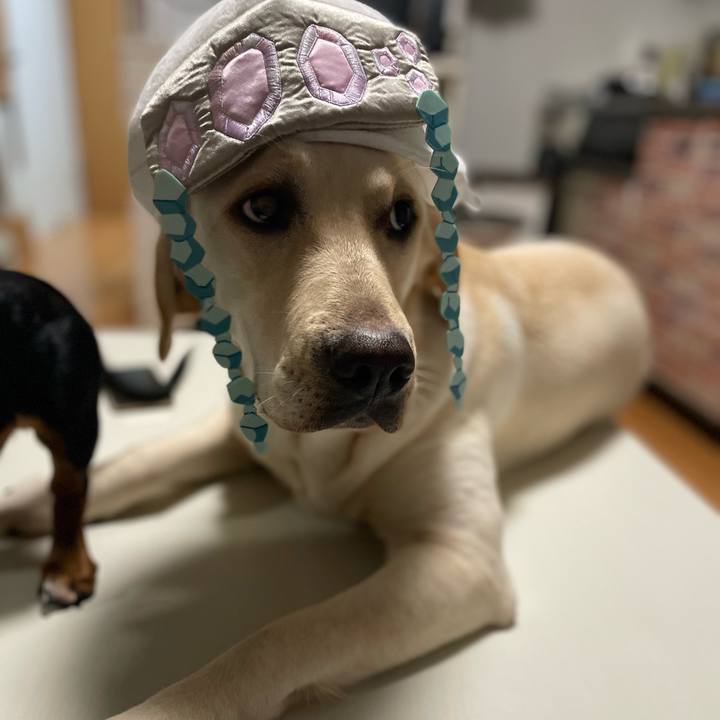 3e6f2efa 0ec9 44d9 9d12 95fed313def4 1643544626956