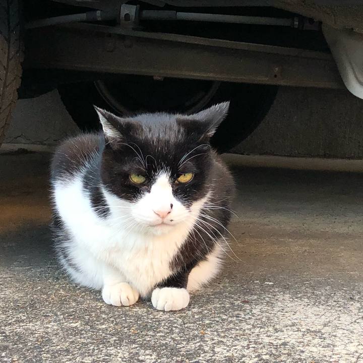 3e6f5216 f4bd 49c1 b8dd fb10684f8700 1542311079581