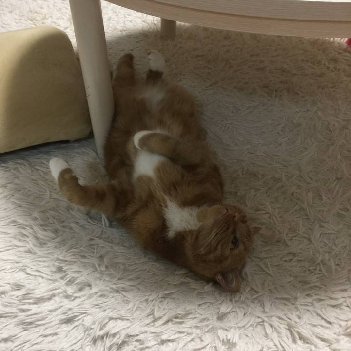 3e6f768c d96c 4959 a5c5 1f4f9897ecda 1589626255628