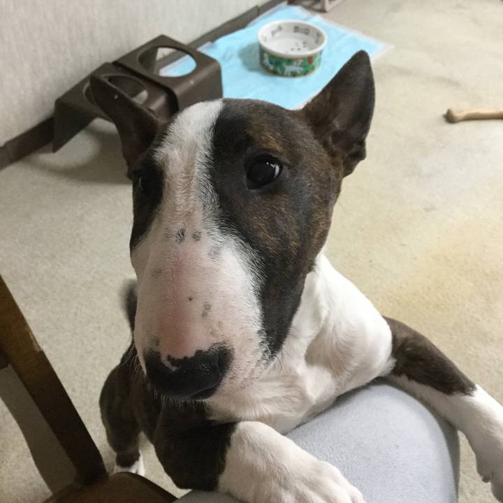 3e6f8fc7 9a08 4d40 9eb7 ae408385bf53 1551584670532