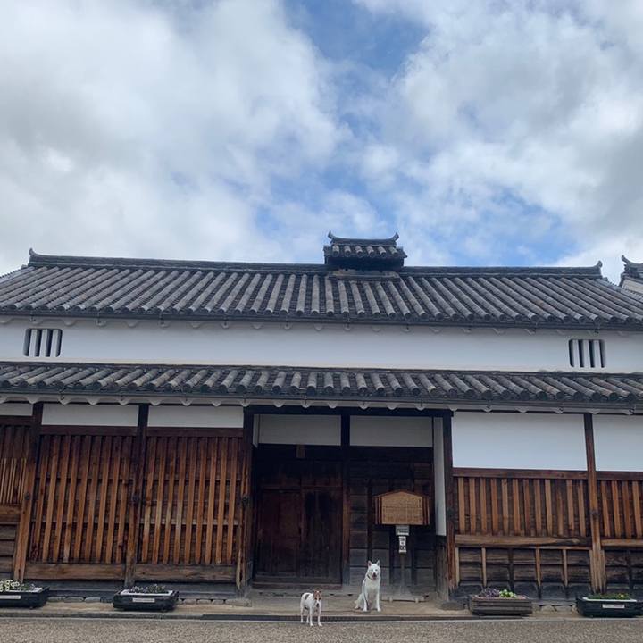 3e6faf51 c551 4572 bdf9 89256bb0c2b5 1559951834351