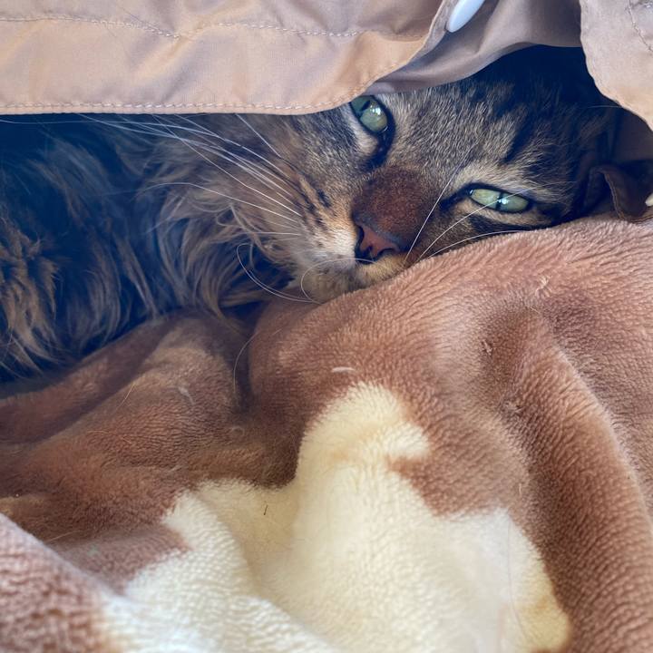 3e6fb899 0973 4860 a854 6cde13597bfe 1710042825213