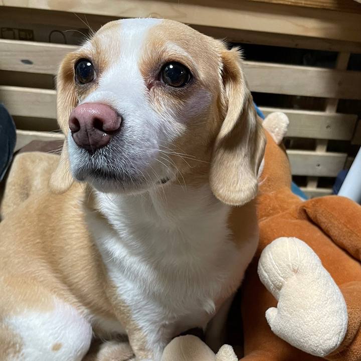 3e6fbf60 f46a 4ed5 bac9 f3e89abb300a 1651270354368