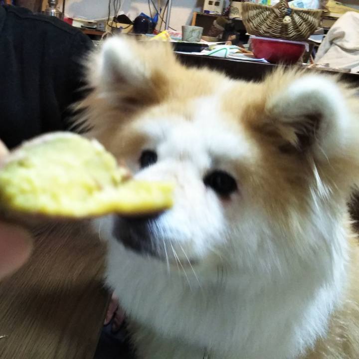 3e6fd9a6 05f7 4e70 b6a1 4792a71bf3c0 1602936843941