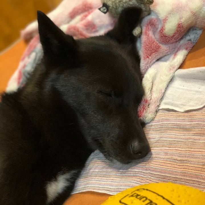 3e70024e edc0 415a 8e38 cbbf7ceefa65 1627090224164