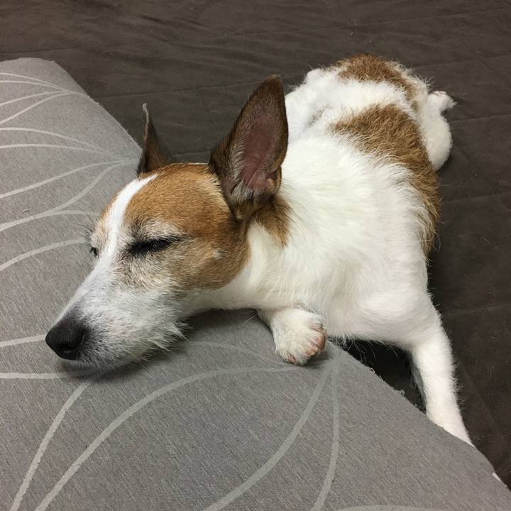 3e700c46 a5e2 4696 a57d 7fda352cdc25 1595978182842