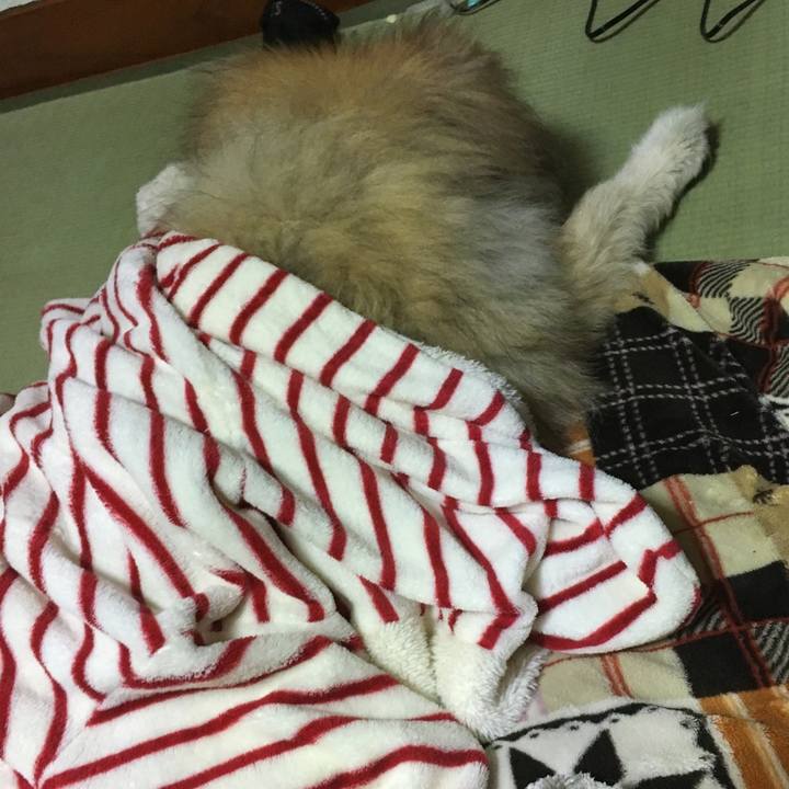 3e705fe7 098f 4531 a604 19b1567351ab 1575786540949