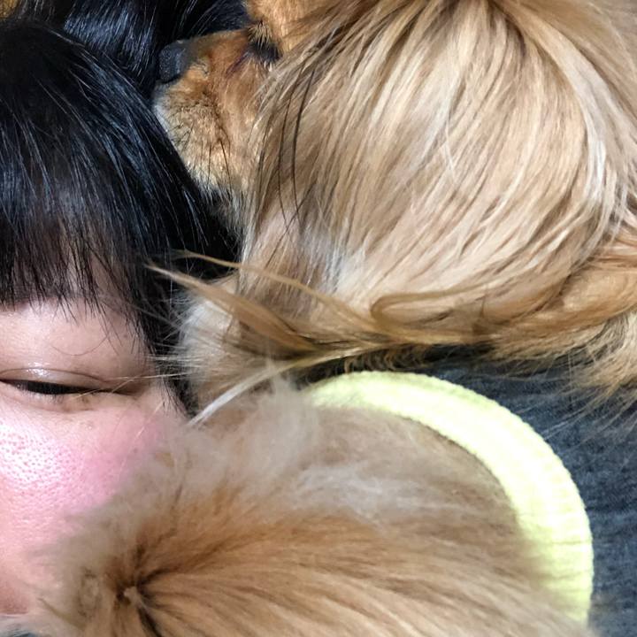 3e7068af dcda 4bc3 9131 8b5ef37e4979 1553343266161