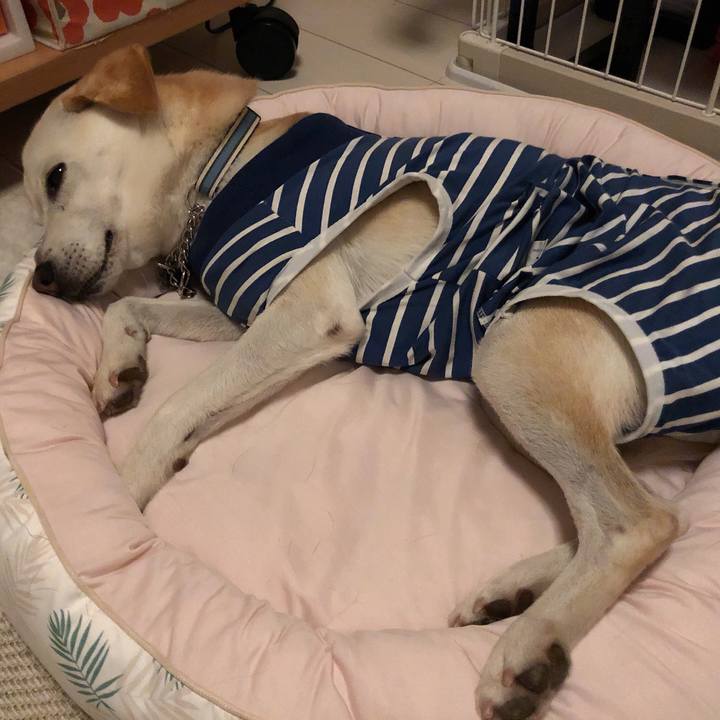 3e707474 7b95 4329 a16c 613c68edd173 1628809481093