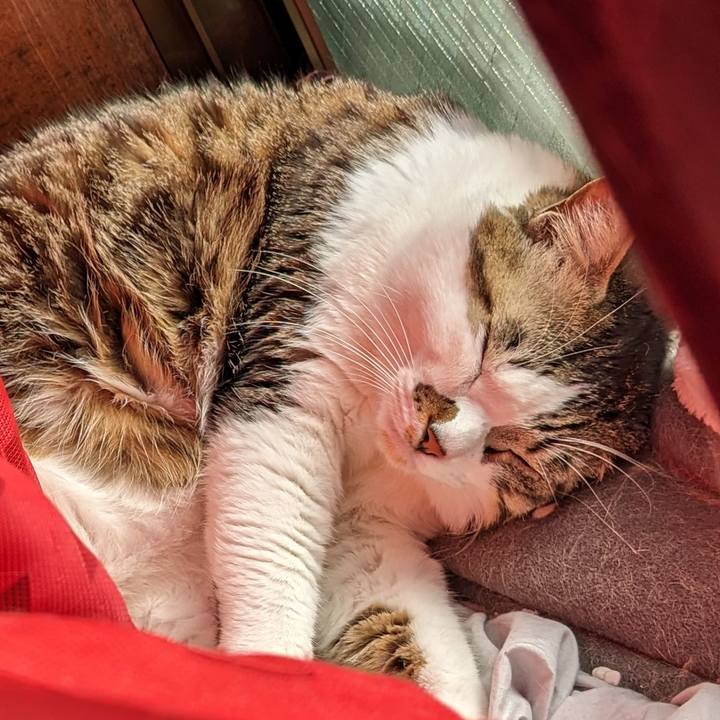 3e70859c 0424 43fd bfe9 de10aacd1e62 1706238359251