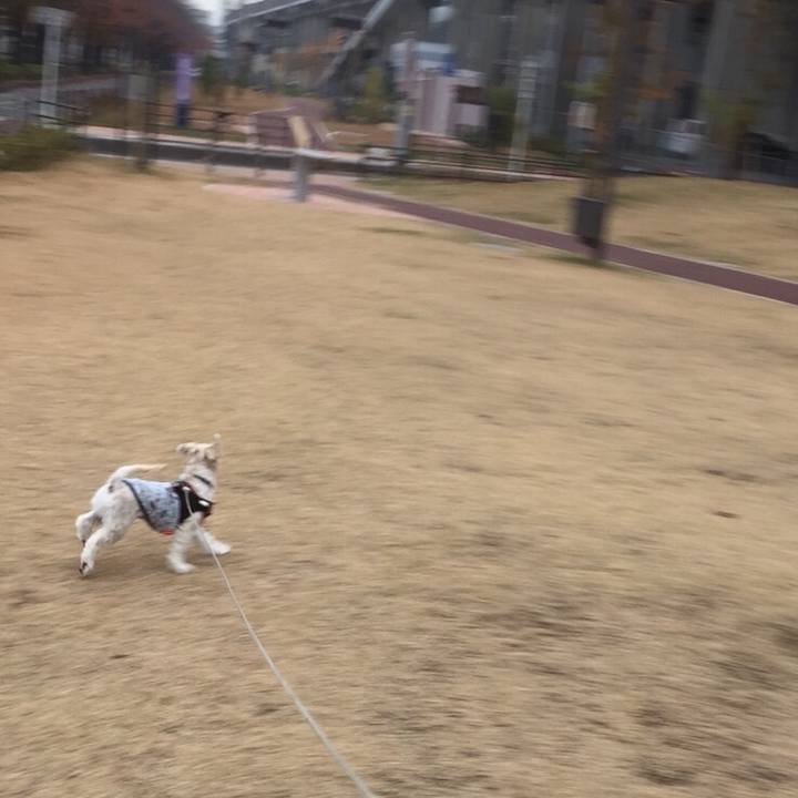 3e70a686 aa5e 46d5 9b4b 5814bd9c9e0a 1511001141195