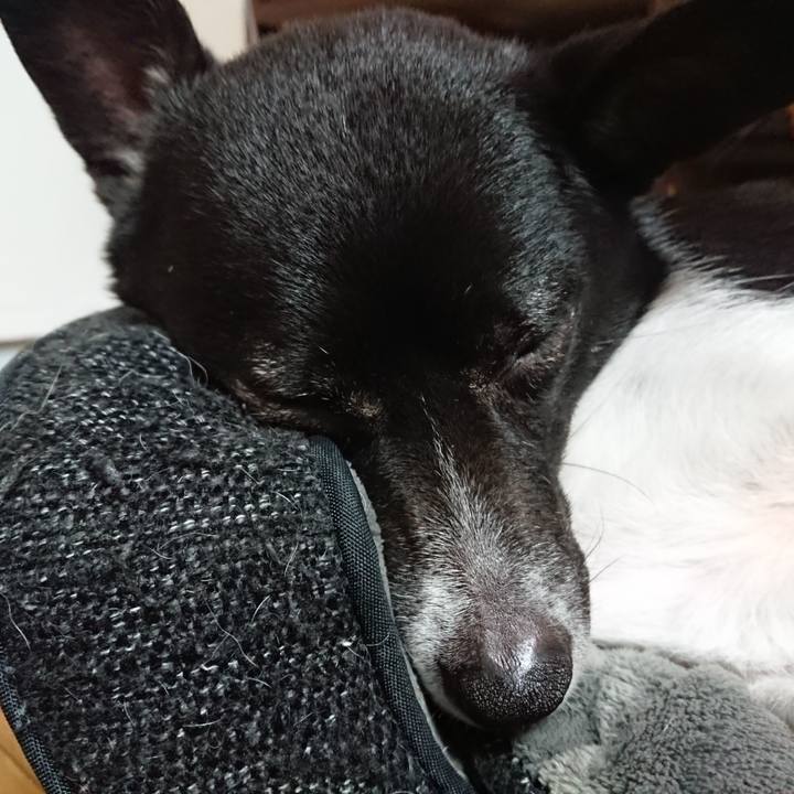 3e70b165 906d 49ae 88ff 989e1966a13b 1560951369235