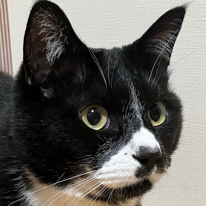 3e70c022 ba93 4f1d 87da b6acef0f9c23 1751698952880