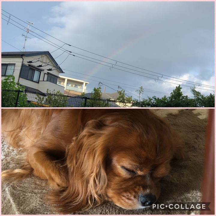 3e70f50c 27e9 4e1b b84d 6f4562faccfb 1597321513976