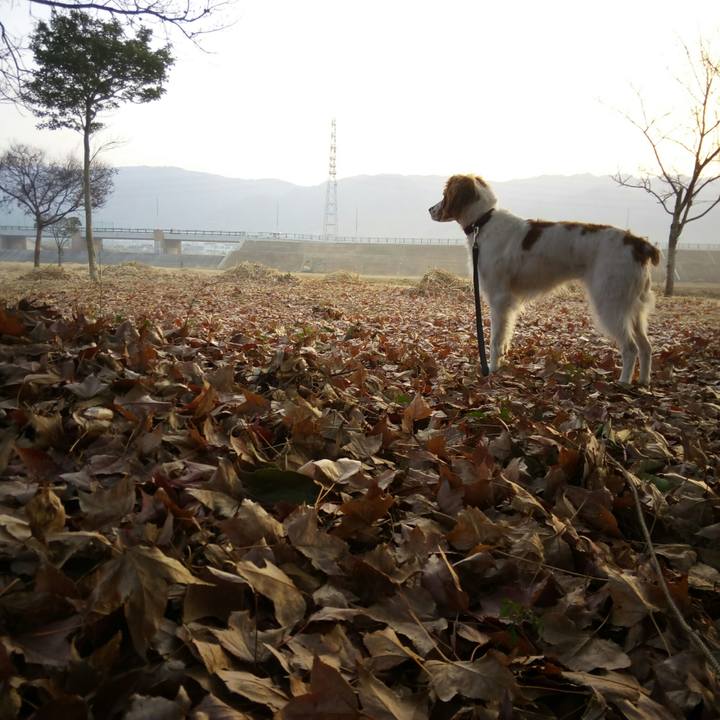 3e7152fb 20ac 427b a29b a5c05b2139d3 1516321520063