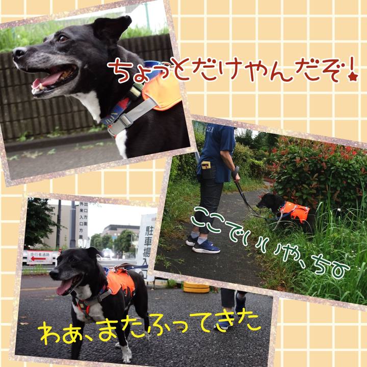 3e719616 eea7 4b6c b017 06c3a9a7819d 1719570990737