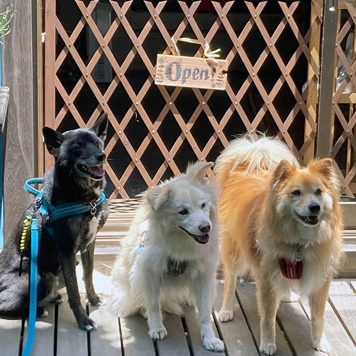 3e719ccc 15a9 43f2 81e5 2bc63390911b 1655717544868