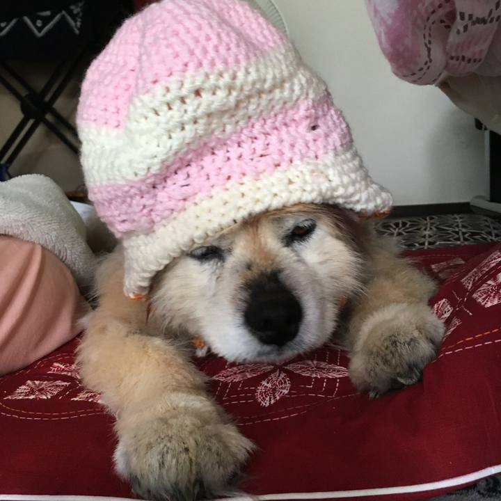 3e71a907 1206 4942 9351 7e6b3a50dc09 1609504739744