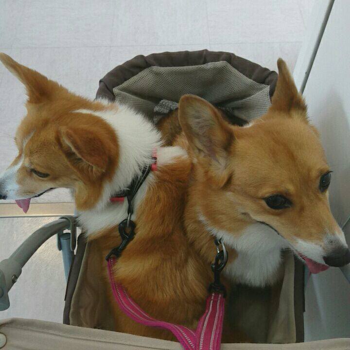 3e71f8bd be22 419f 9aaf a70463cf7ff1 1529562069830