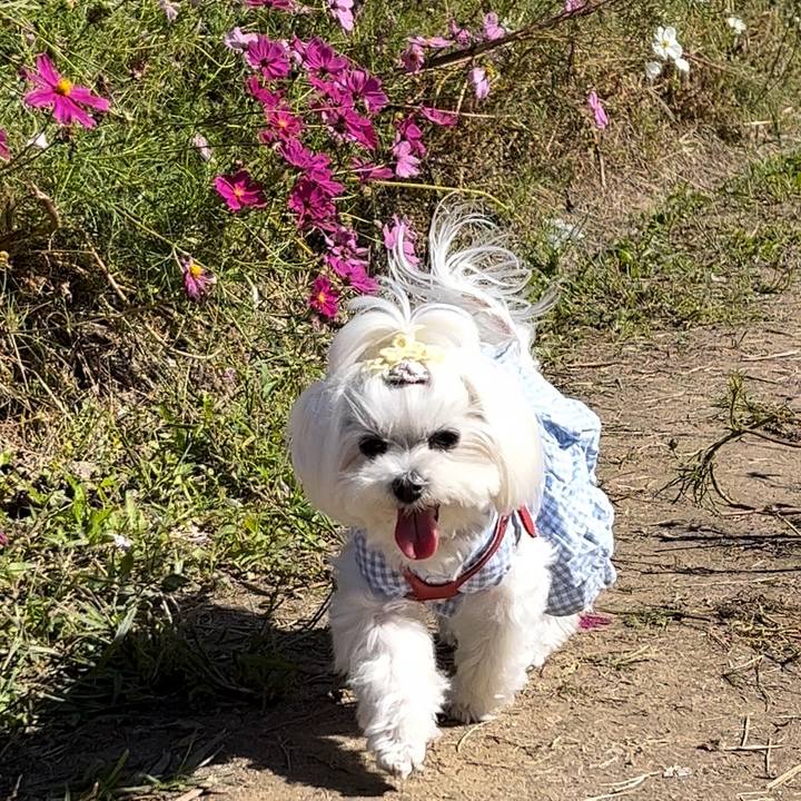 3e724e8e 5b00 44e6 a894 058cddfec025 1762928161900