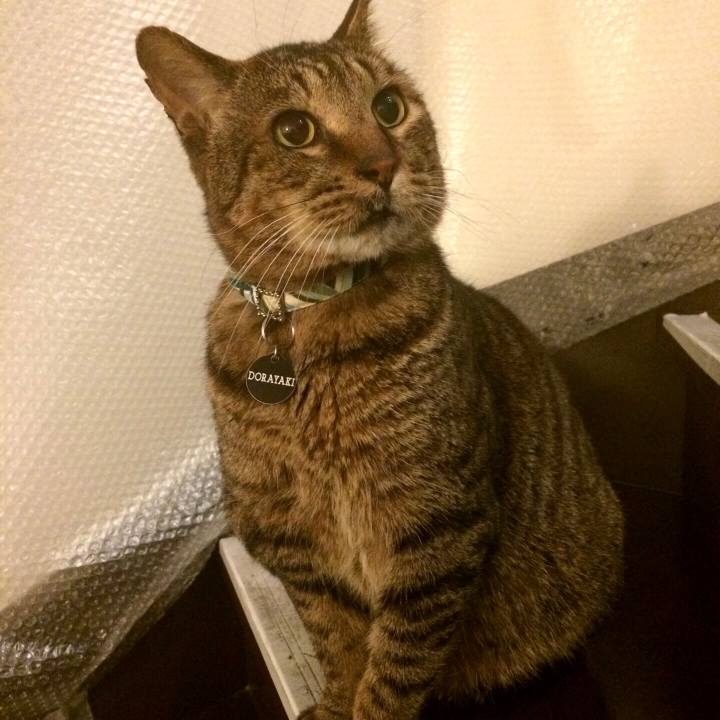 3e725941 da77 459a b77d 304eaf15b062 1539954312480