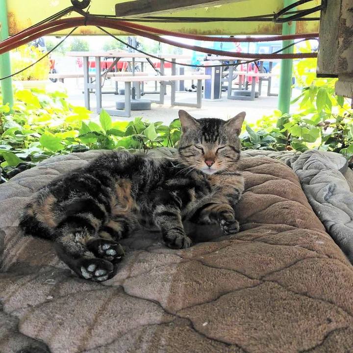 3e728997 1085 4e36 952d beecbf0254d3 1621991964309