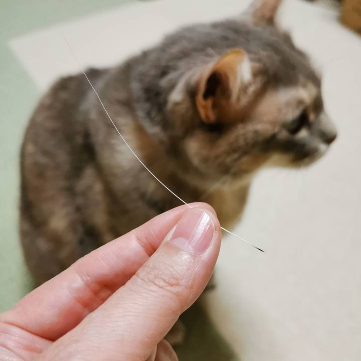 3e728bc1 87d5 4cb6 af2c cfc1f443dd5b 1676989817883