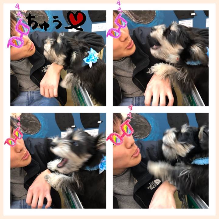 3e72beb7 eeea 4d54 ab49 f61c0ded1e87 1550324206585