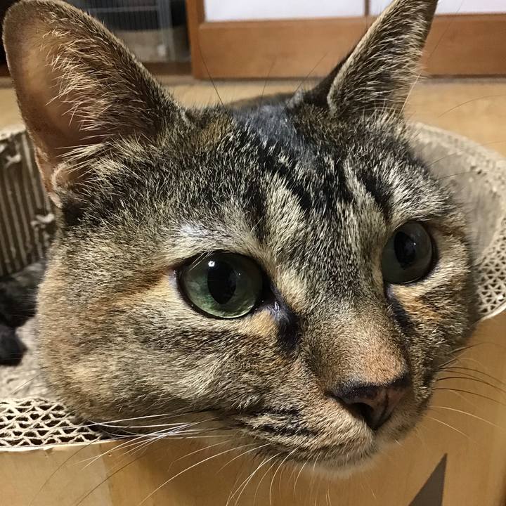 3e72da98 00f8 414f ab97 ee71fcfc3174 1762674823812