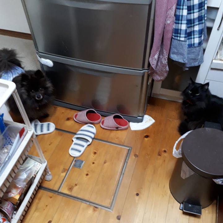 3e72e551 91d4 4faa b39d 847fda50ed44 1519761367533