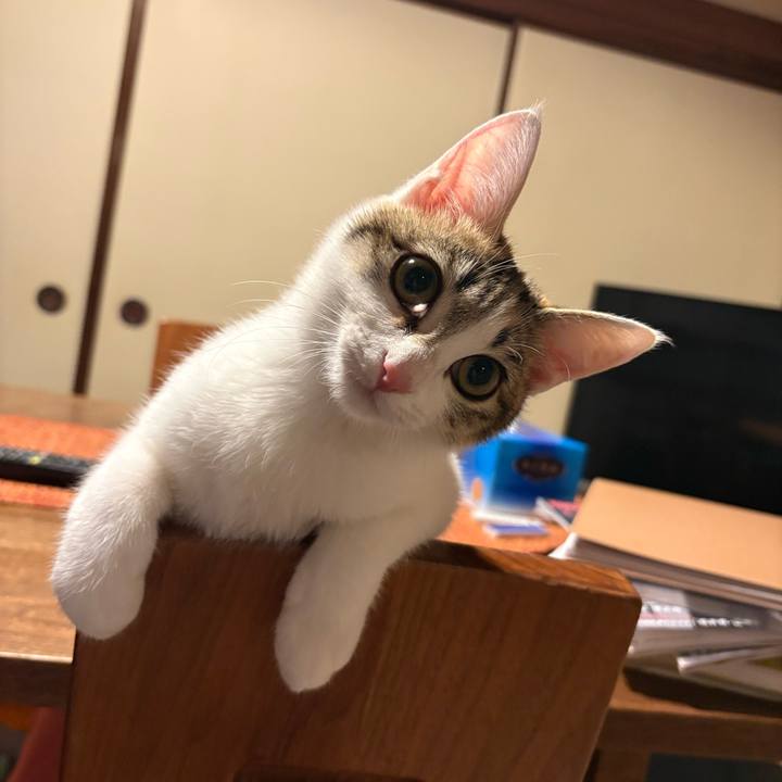 3e72f330 b2f7 4192 90e8 6fff01df12ba 1769435643435