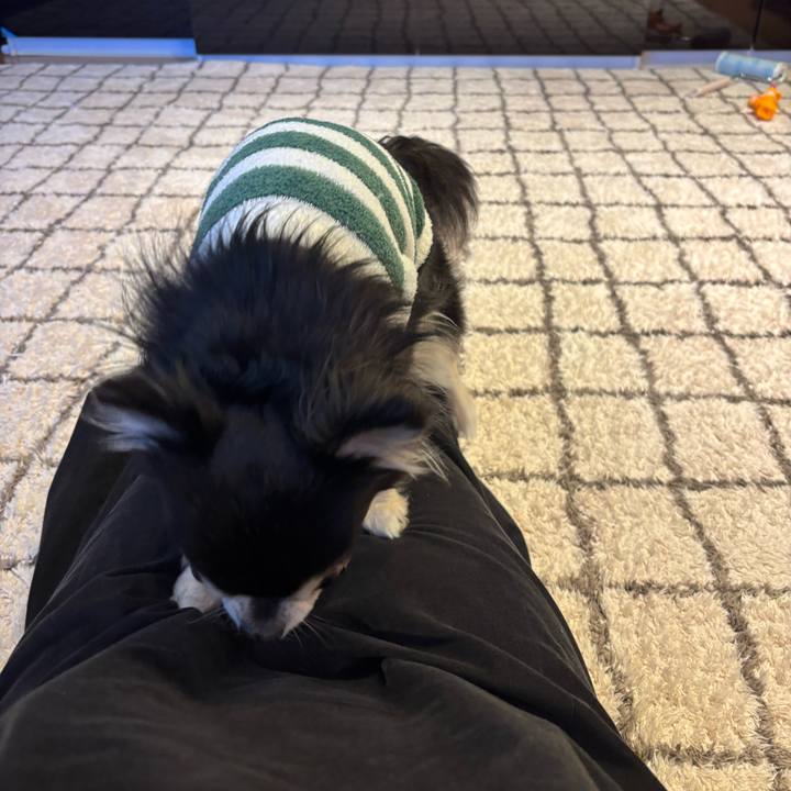 3e730f53 337a 4b95 a2c7 f78e59ac6728 1737907176312