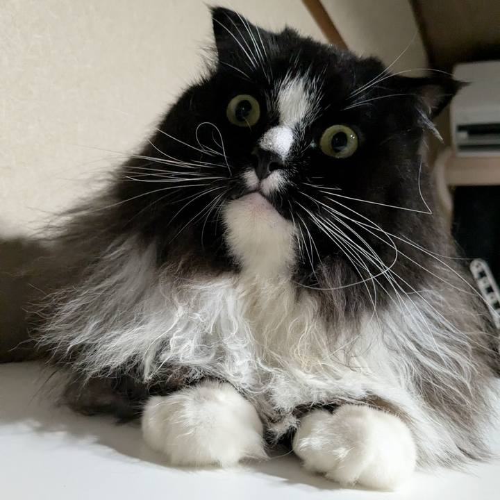 3e7359b5 1380 4aed aa7e 7c073decaafb 1725509813316