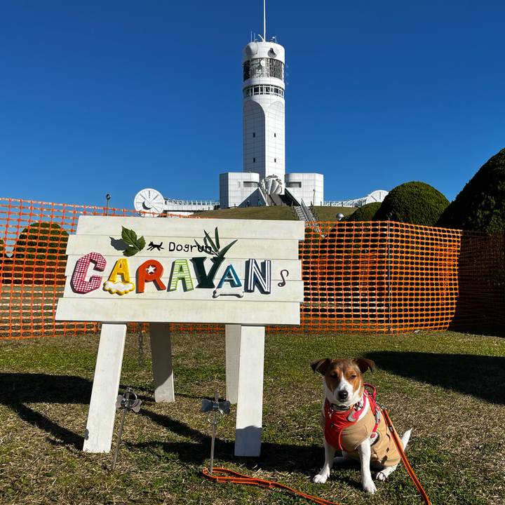 3e737997 d375 4968 a7a3 cb4a41a42cbb 1733142162877