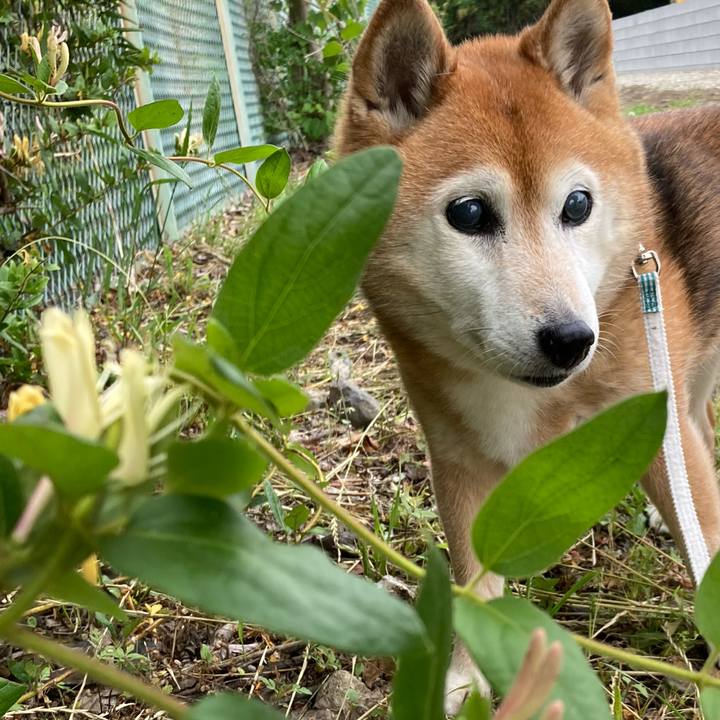 3e73aca1 ff76 4ca5 9943 3dc737228e26 1747647426139