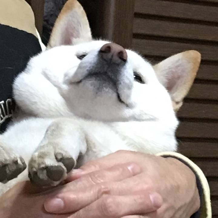 3e73cb31 05f8 4799 831d 45ab5d4cb74f 1512881449718