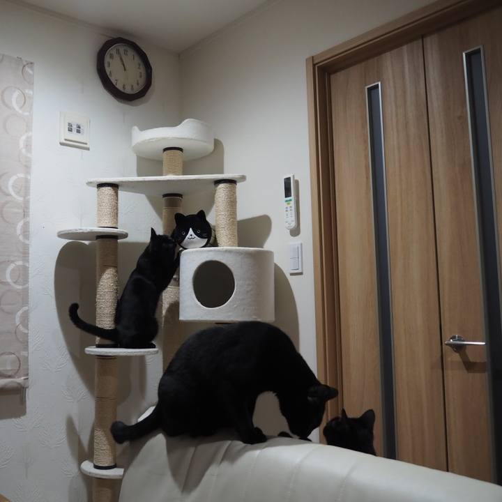 3e73cd31 2a93 40fc a8dc 7cc81c3d0b6a 1557185266216