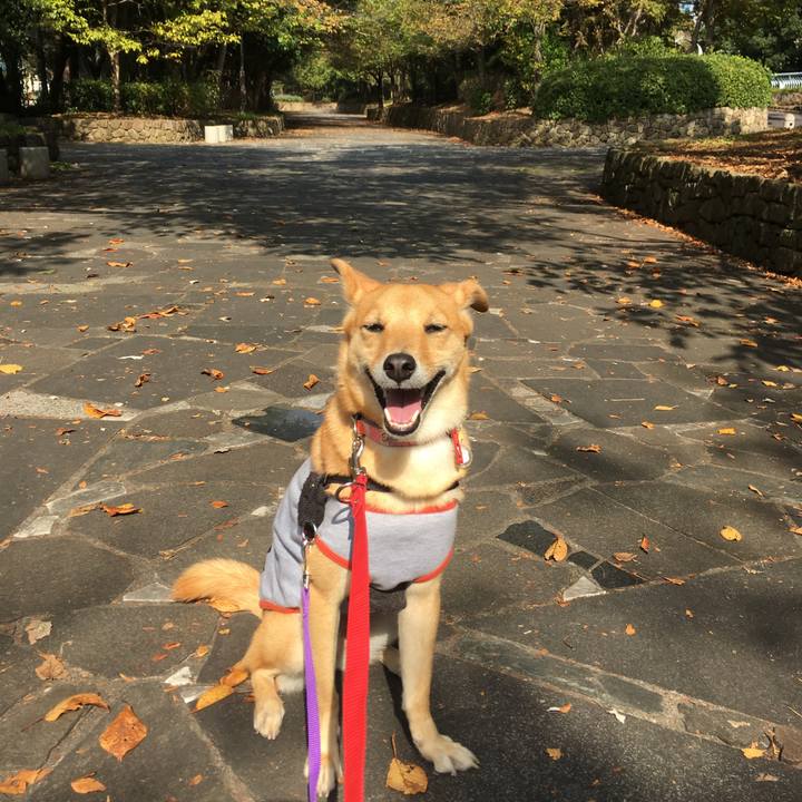 3e73ee5e d391 4d35 9af9 fbafadb2e667 1540546285270