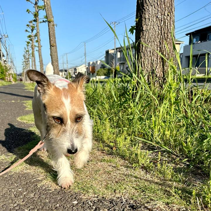 3e74088f 1daa 473b aecd 41eb85f6282d 1714801375358