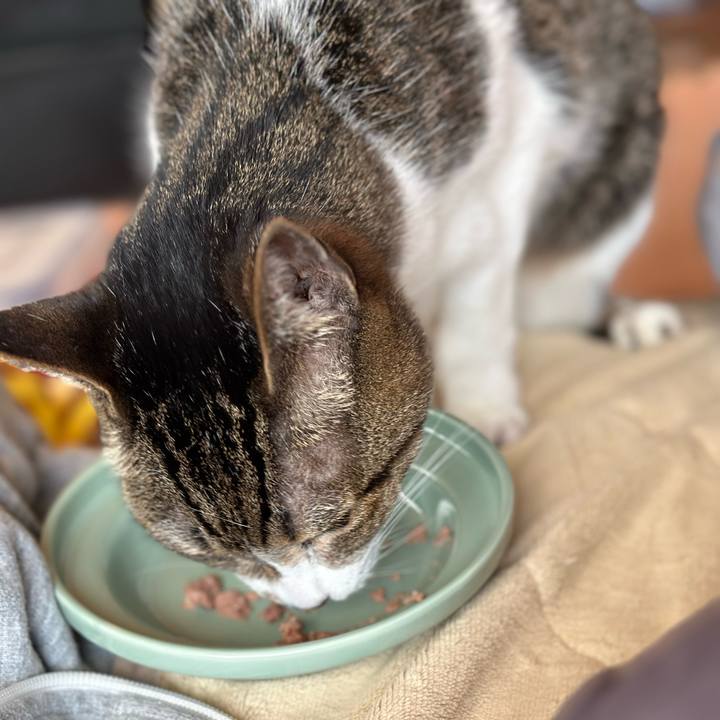 3e743892 472f 4202 b589 3eb9633c1b69 1682123011621